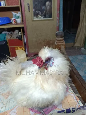 আলোচনা সাপেক্ষে