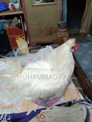 আলোচনা সাপেক্ষে