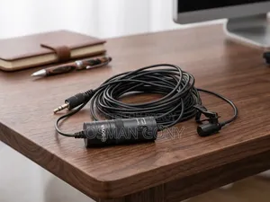 Microphone