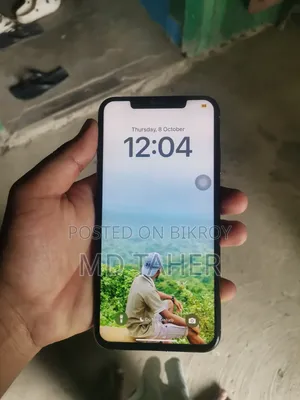অ্যাপল আইফোন এক্সএস ম্যাক্স ২৫৬ জিবি রোজ গোল্ড