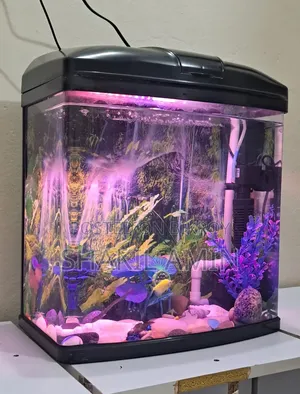 China Aquarium 18/15/9"