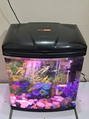 China Aquarium 18/15/9"