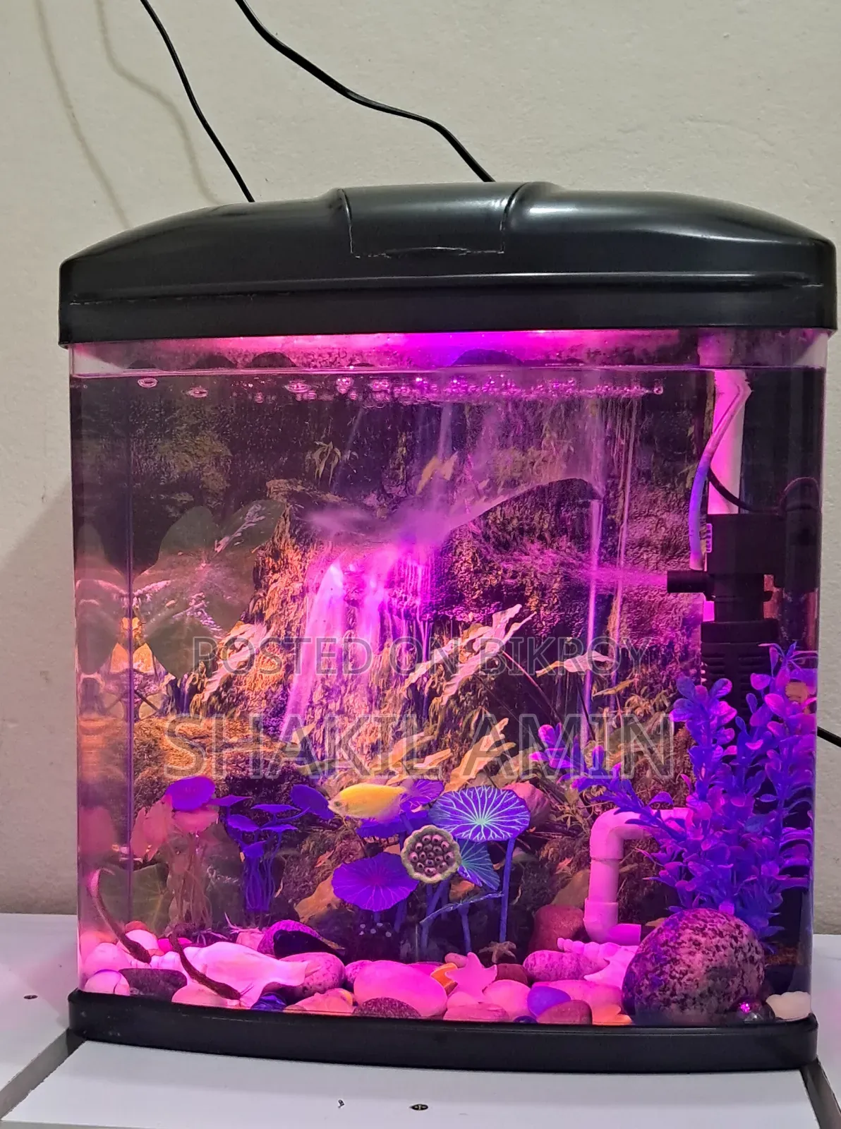 China Aquarium 18/15/9"