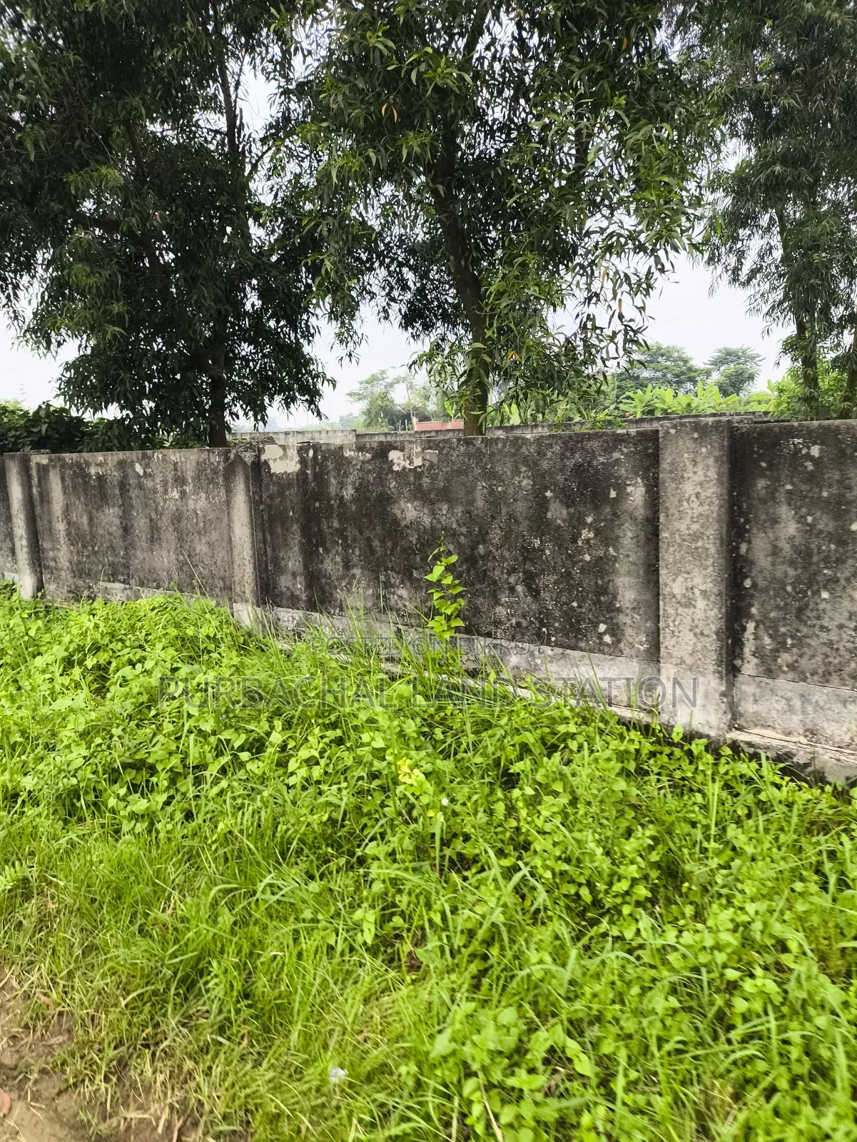 সিবিডি সাউথের কাছে সেক্টর:৮, পূর্বাচলে ৩ কাঠা প্লট বিক্রি