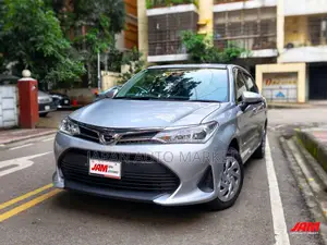 Toyota Axio 2021 Silver
