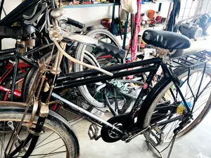 Bicycle Cycle