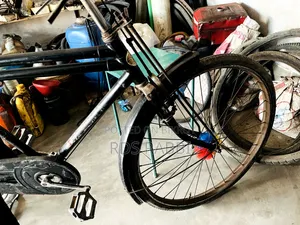 Bicycle Cycle