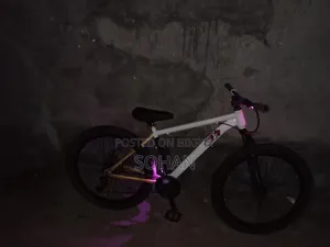 Custom Cycle