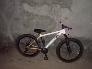 Custom Cycle