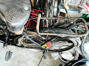 Cycle Bicycle