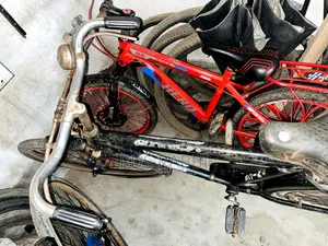Cycle Bicycle