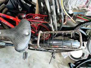 Cycle Bicycle