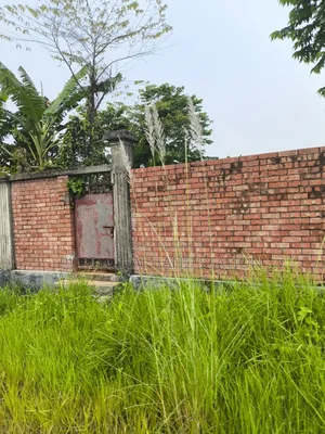 ৭৫ ফিট রোড সাউথ ফেস ৩ কাঠা প্লট আর্জেন্ট সেল ইন সেক্টর: ২০, পূর্বাচল