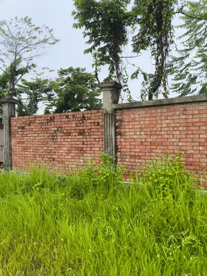 ৭৫ ফিট রোড সাউথ ফেস ৩ কাঠা প্লট আর্জেন্ট সেল ইন সেক্টর: ২০, পূর্বাচল