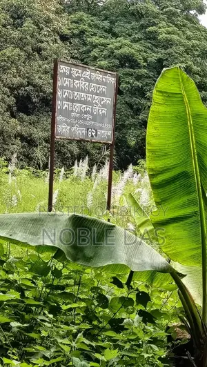 পূর্বাচল ৩০০ ফিটের শেষ প্রান্তে ৪২ শতক জমি বিক্রয়
