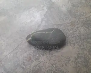 ভিএমএলবি ইউজেসি. ইউইউভি