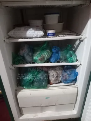 ফ্রিজ সেল পোস্ট