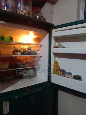 ফ্রিজ সেল পোস্ট