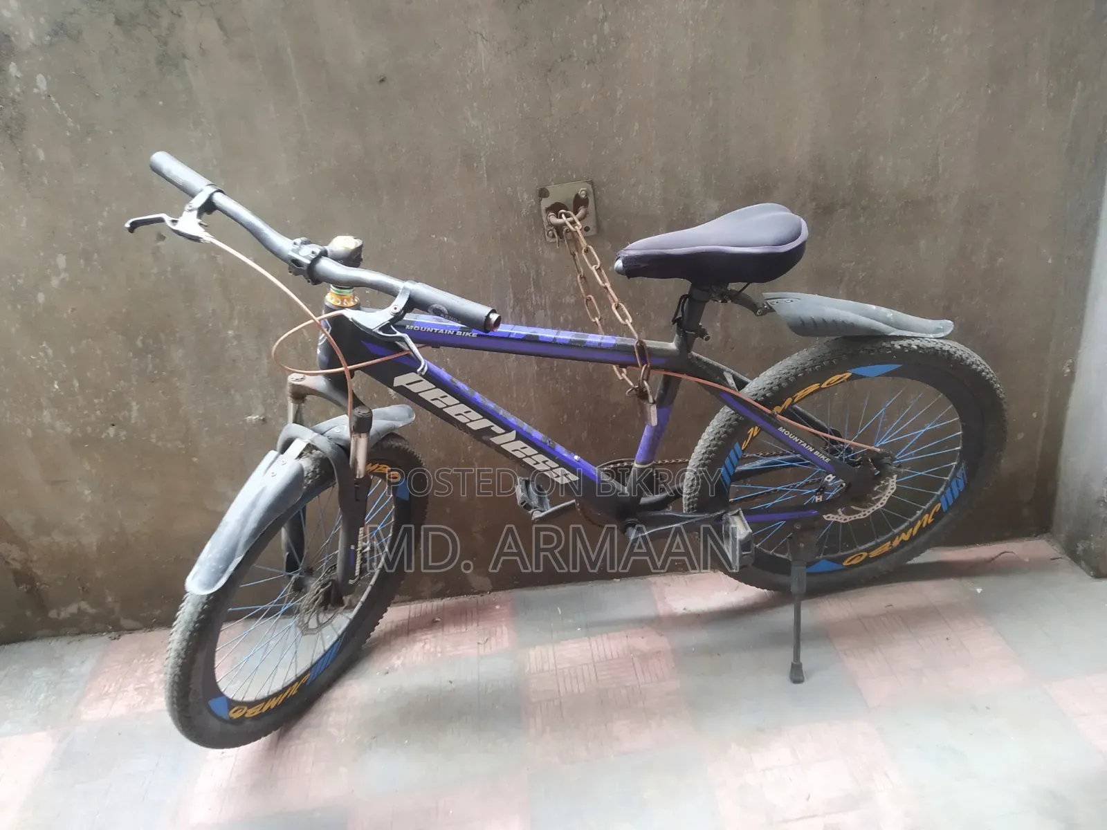 [Peerless Bicycle] Usable Condition