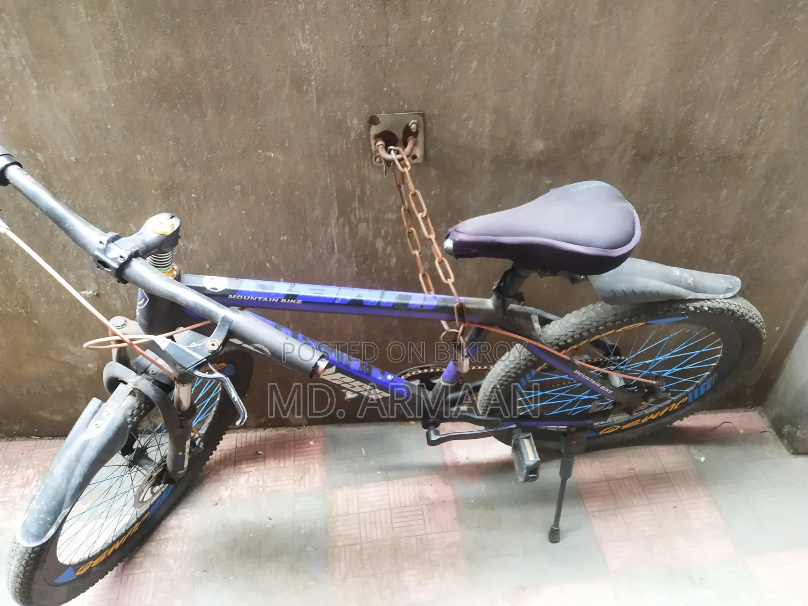 [Peerless Bicycle] Usable Condition