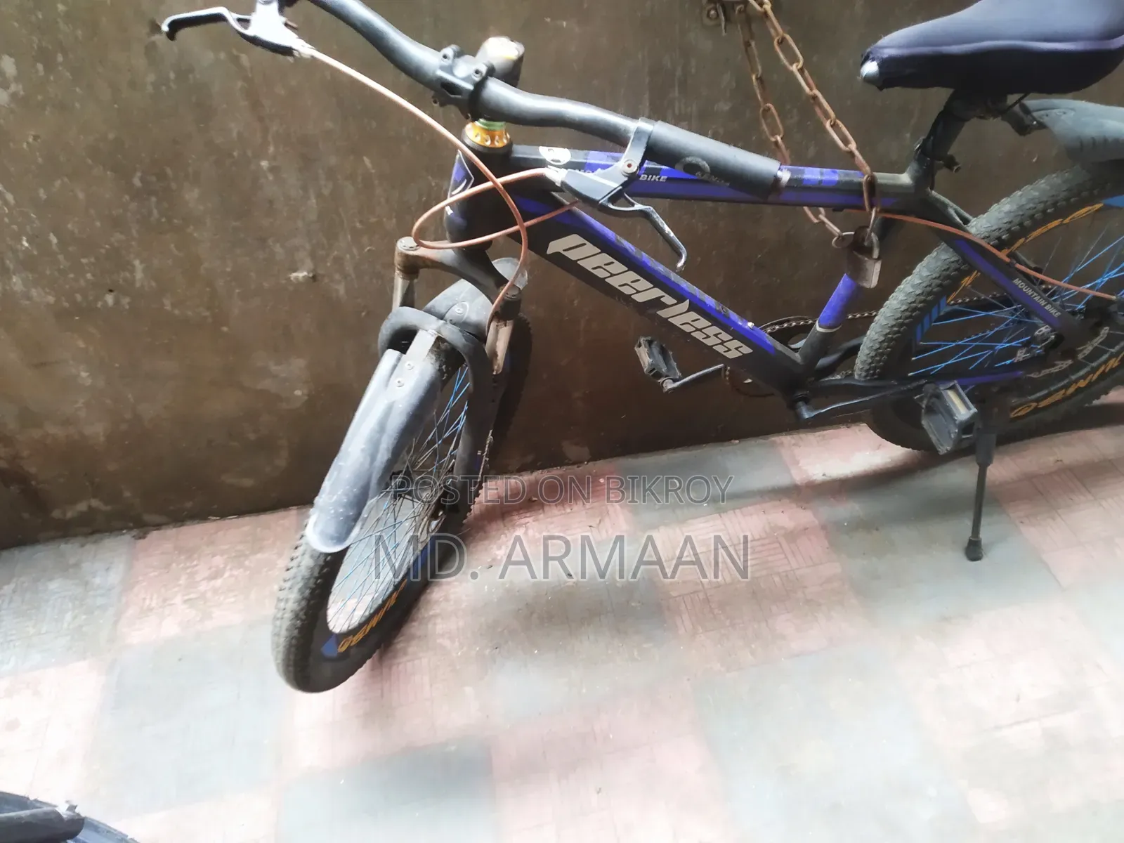 [Peerless Bicycle] Usable Condition