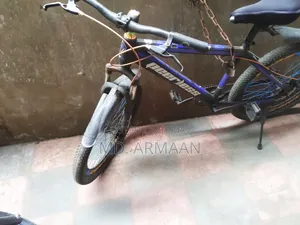 [Peerless Bicycle] Usable Condition