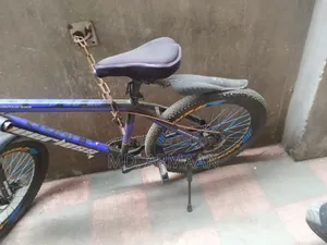 [Peerless Bicycle] Usable Condition