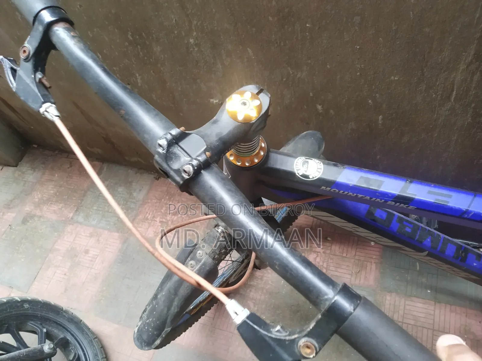 [Peerless Bicycle] Usable Condition