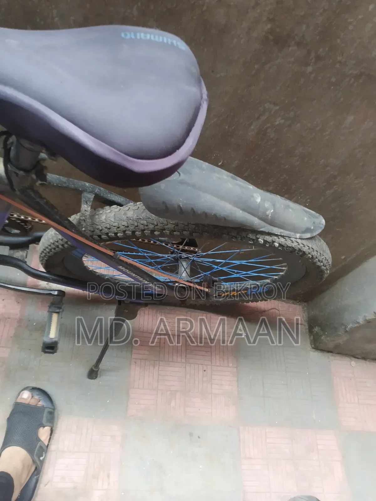 [Peerless Bicycle] Usable Condition
