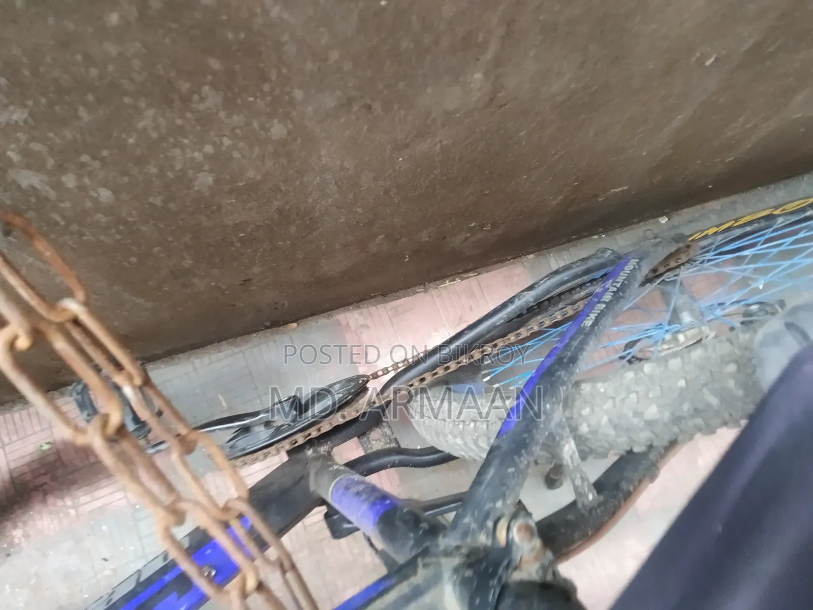 [Peerless Bicycle] Usable Condition