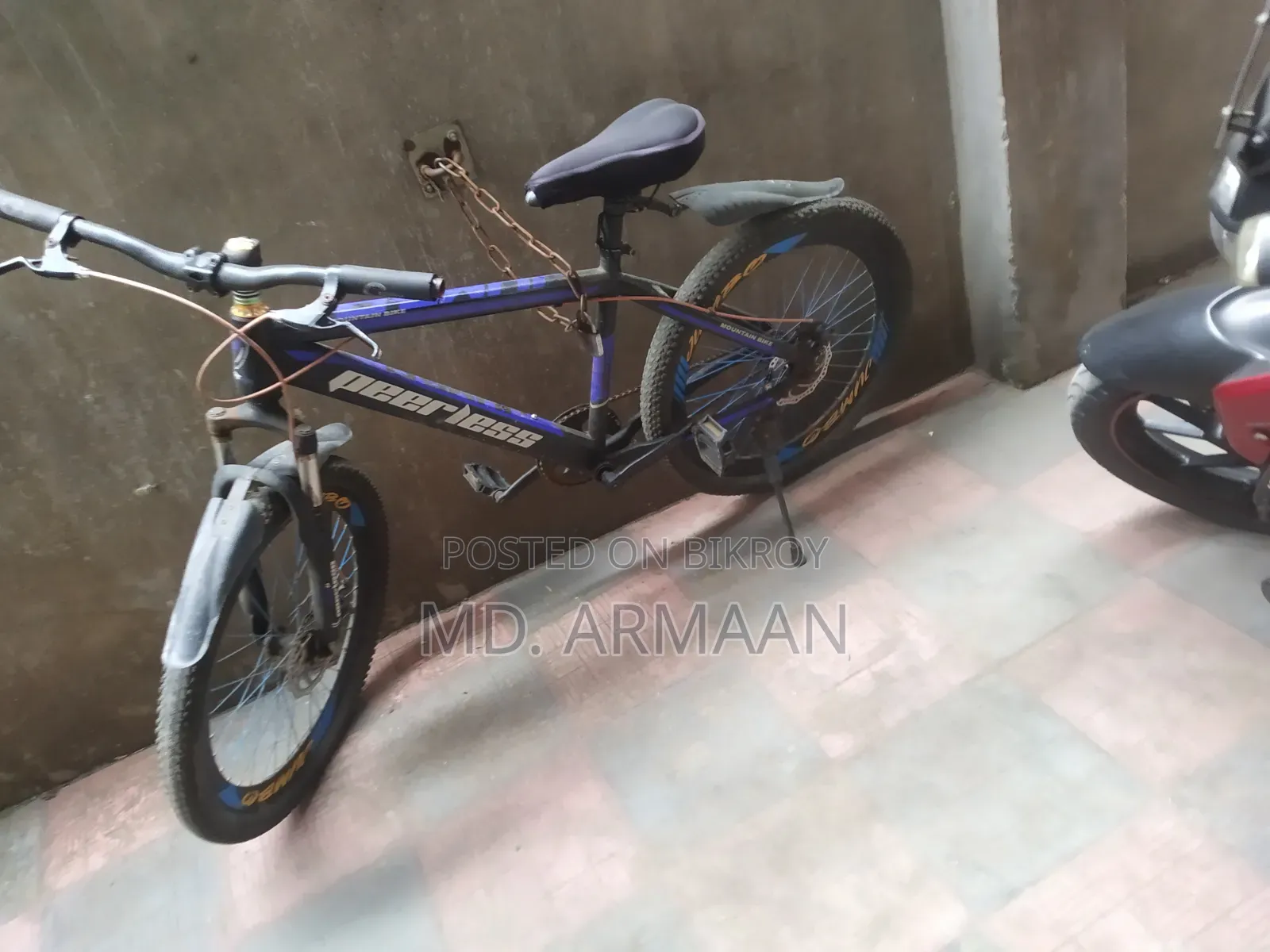 [Peerless Bicycle] Usable Condition