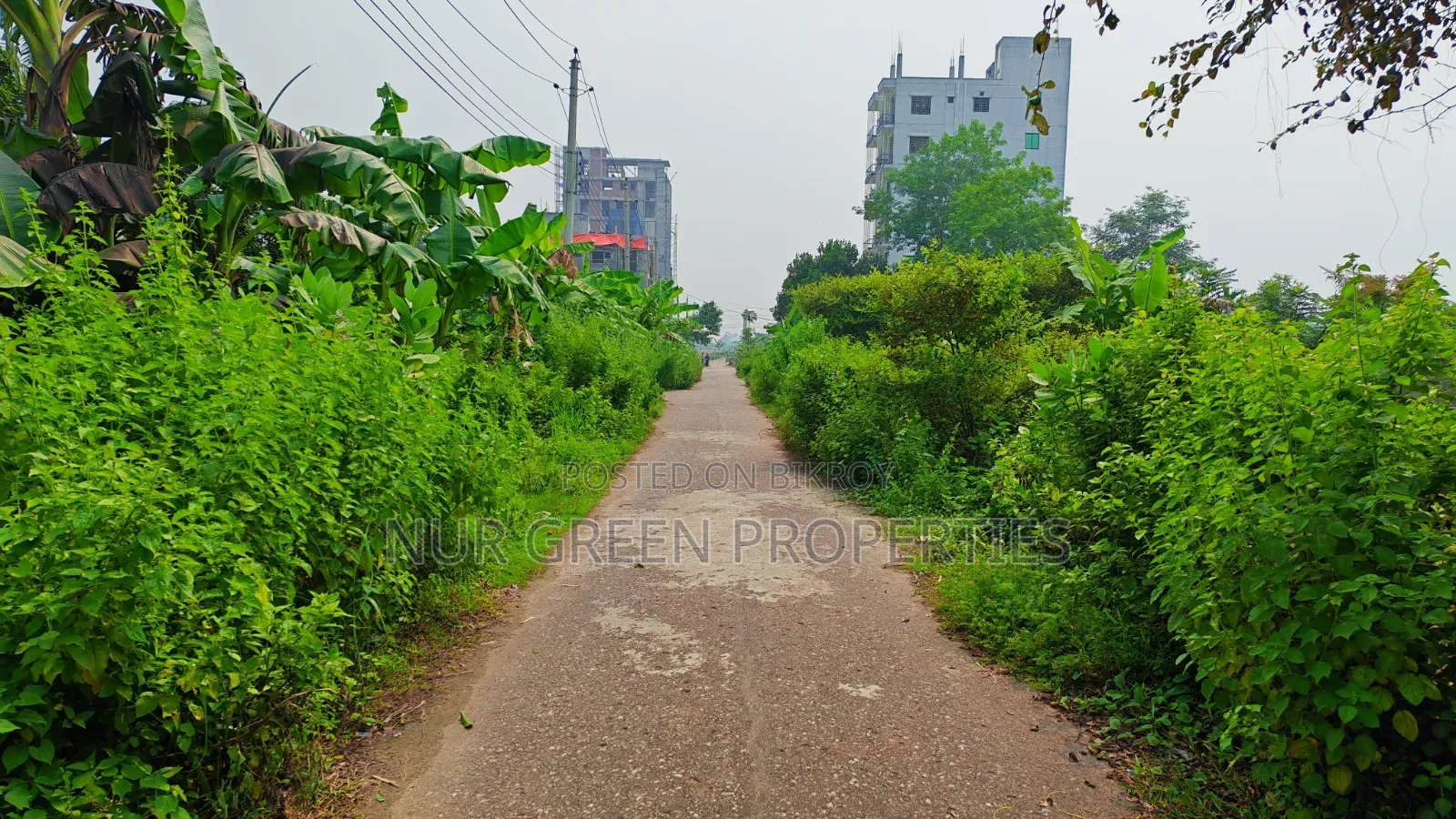 ৪০ ফিট রোডের সাথে পূর্বমুখী ৫ কাঠা প্লট বিক্রি করা হবে