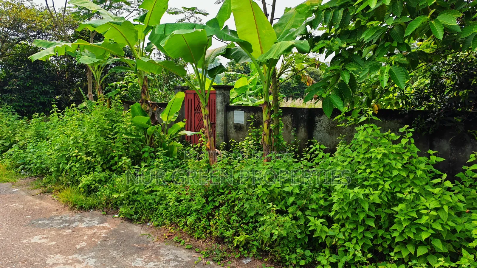 ৪০ ফিট রোডের সাথে পূর্বমুখী ৫ কাঠা প্লট বিক্রি করা হবে