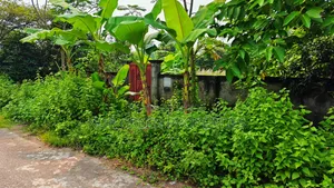 ৪০ ফিট রোডের সাথে পূর্বমুখী ৫ কাঠা প্লট বিক্রি করা হবে