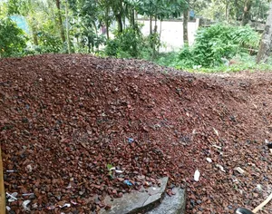1st Grade Brick Chips