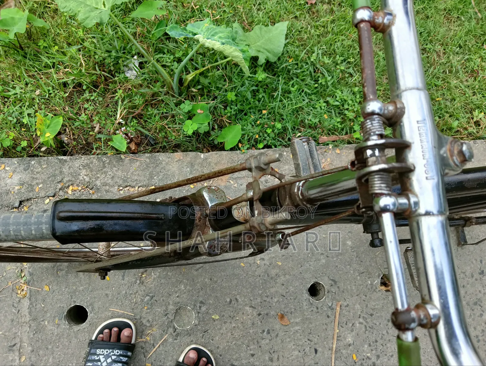 Bangla Cycle