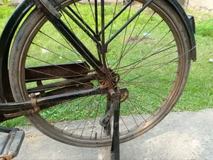 Bangla Cycle