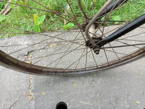Bangla Cycle