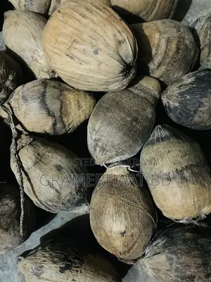 Coconut for Sale
