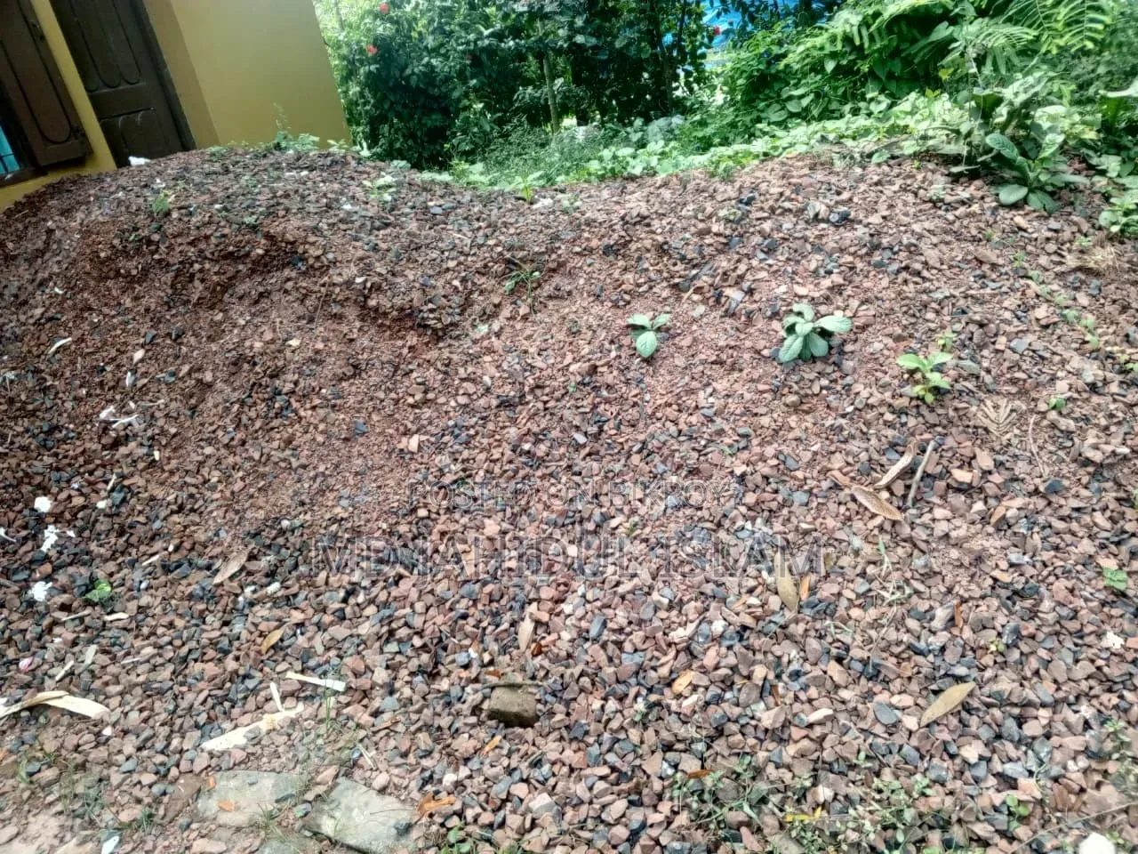 1st Grade Brick Chips