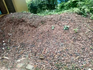 1st Grade Brick Chips