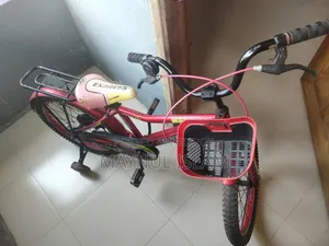 20-inch Bicycle for Sale