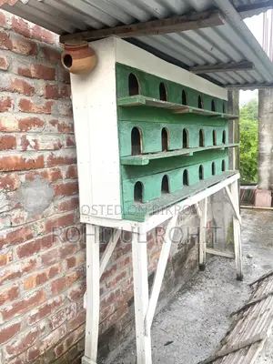 18-Compartment Pigeon Loft