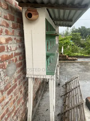 18-Compartment Pigeon Loft