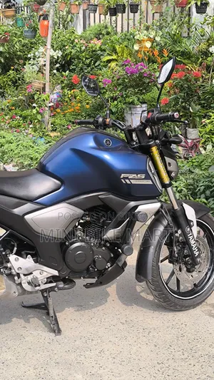 Yamaha FZS V3 2020 Blue