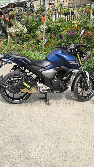 Yamaha FZS V3 2020 Blue