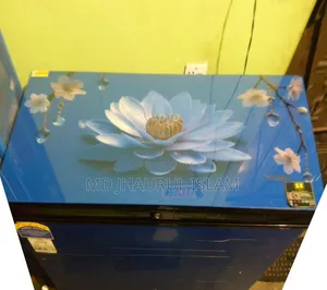 Vision Fridge, taken 1 month ago. Will be sold due to financial problems