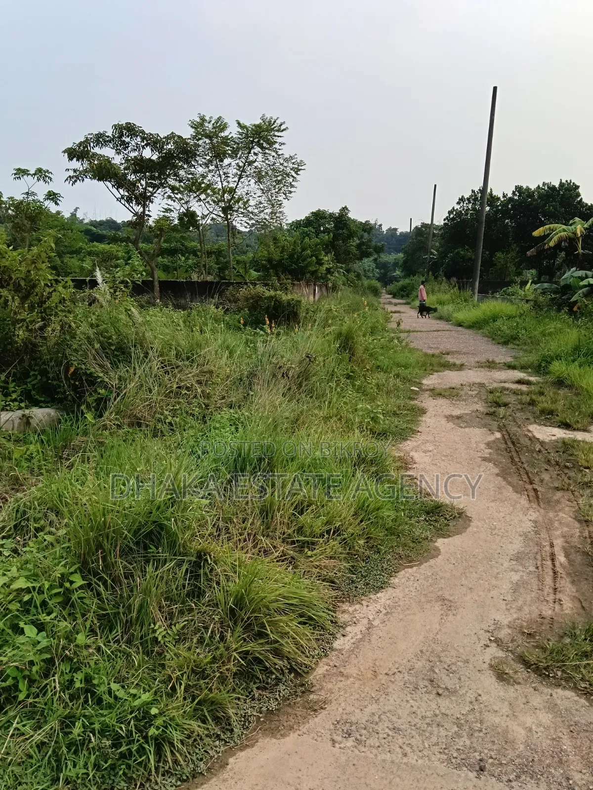 Sector-23, Business Category 3 Katha Plot Sale