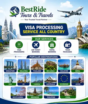 Visa Process