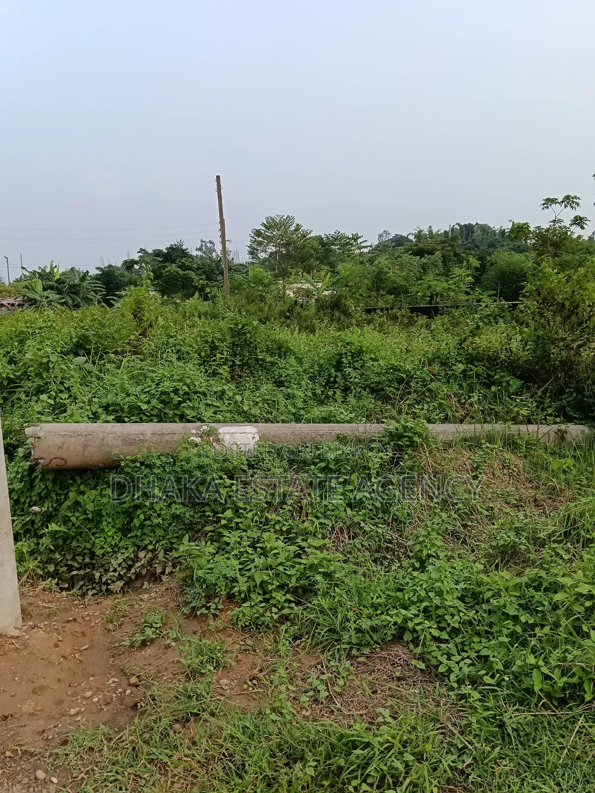 Sector-13, 3 Katha South/East Box Corner